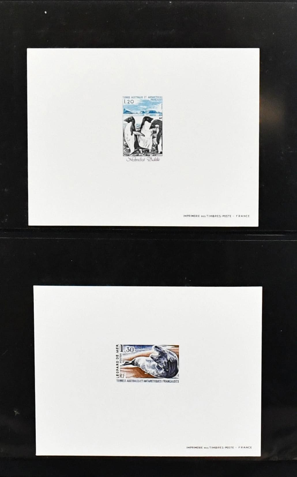 Bild 51766